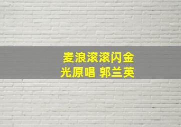 麦浪滚滚闪金光原唱 郭兰英